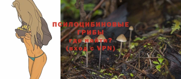 ПСИЛОЦИБИНОВЫЕ ГРИБЫ Алексин