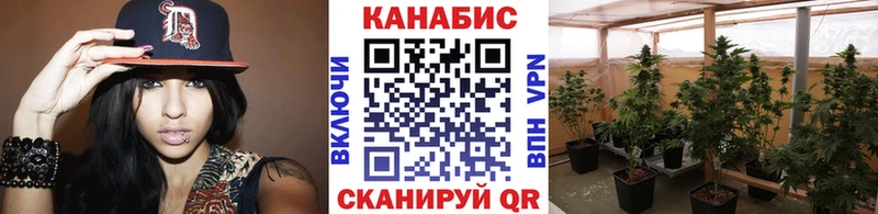 МАРИХУАНА сатива  продажа наркотиков  Ипатово 
